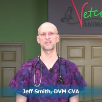 Dr. Jeff Smith on Plechner’s Syndrome and Allergies