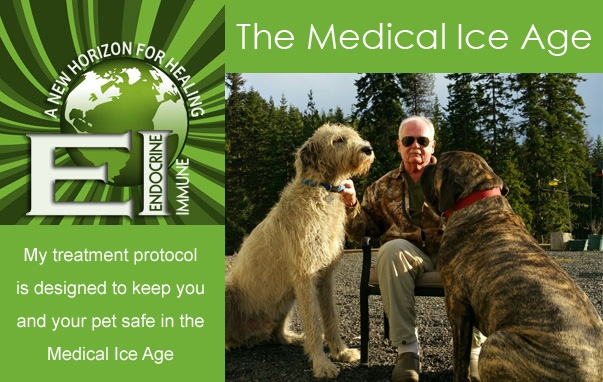 The Medical Ice Age